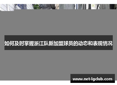 如何及时掌握浙江队新加盟球员的动态和表现情况