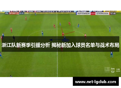浙江队新赛季引援分析 揭秘新加入球员名单与战术布局