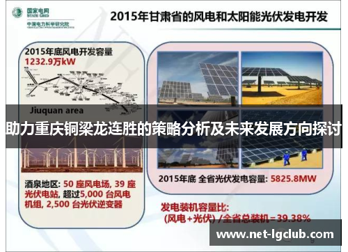 助力重庆铜梁龙连胜的策略分析及未来发展方向探讨