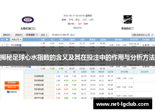 揭秘足球心水指数的含义及其在投注中的作用与分析方法