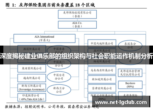 深度揭秘建业俱乐部的组织架构与社会职能运作机制分析