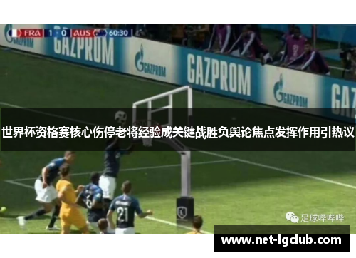 世界杯资格赛核心伤停老将经验成关键战胜负舆论焦点发挥作用引热议